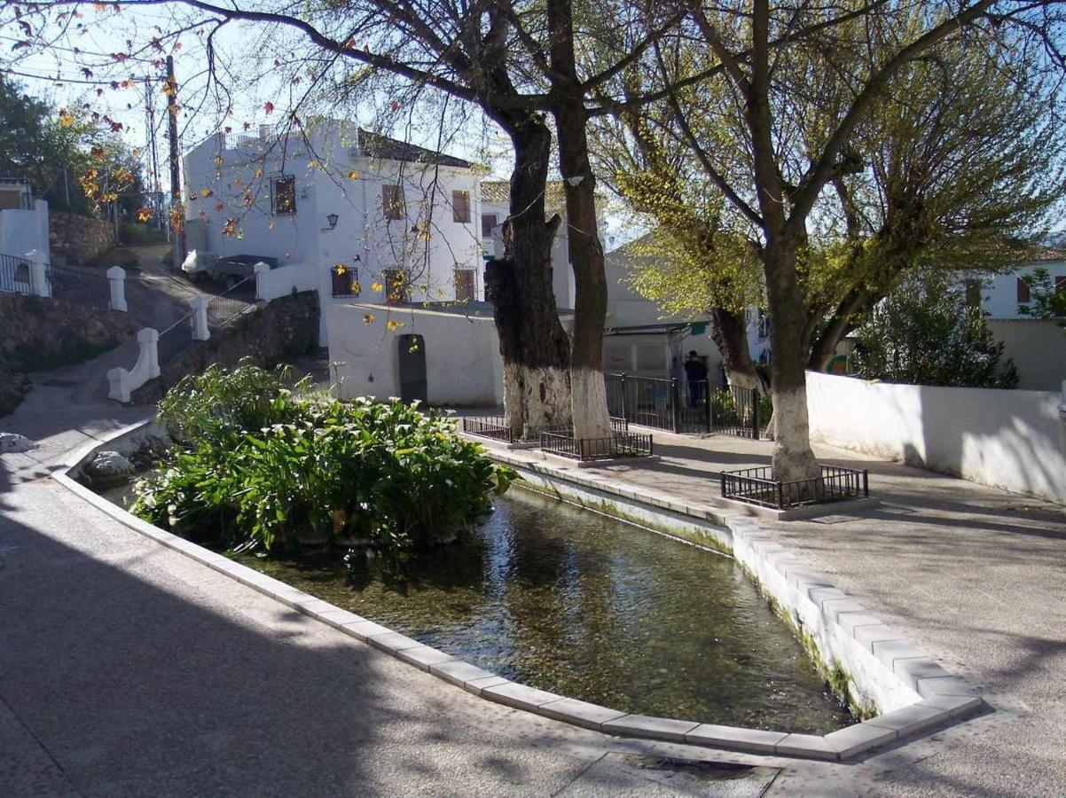 Sierra Alcaide