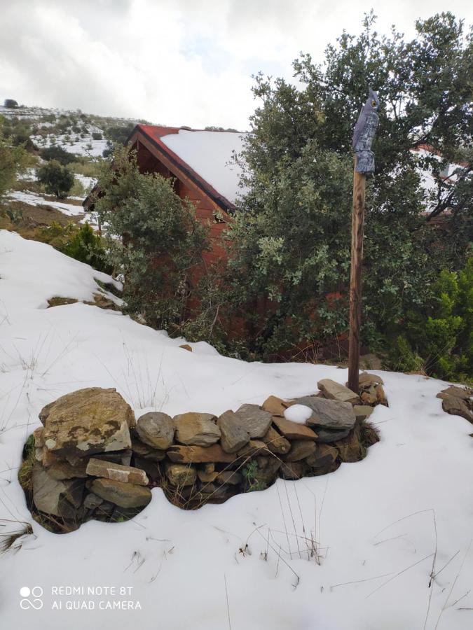 Casa La Colina Mandarina Ii Casa De Madera Holiday home *