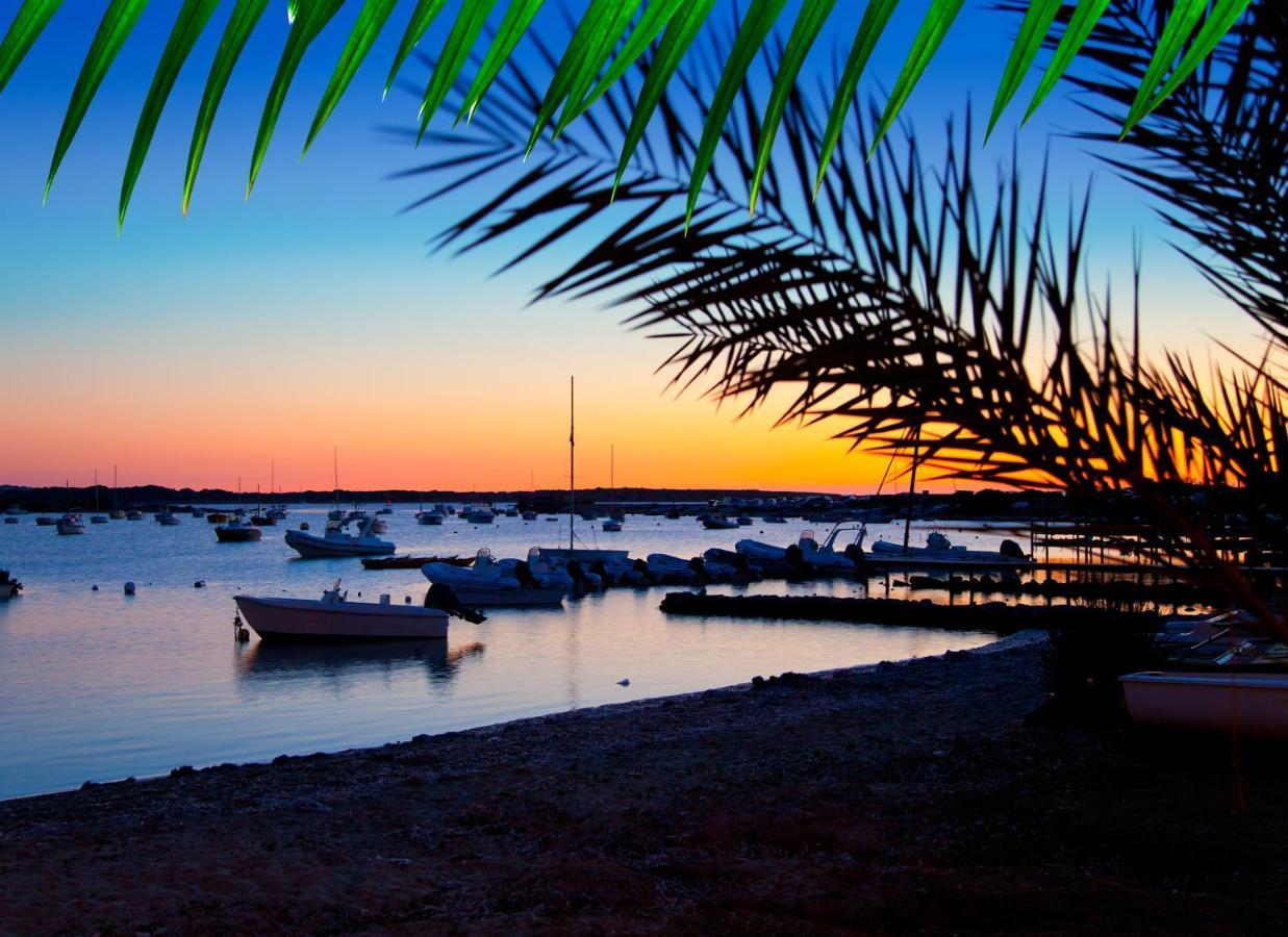 Dorado - Formentera Break