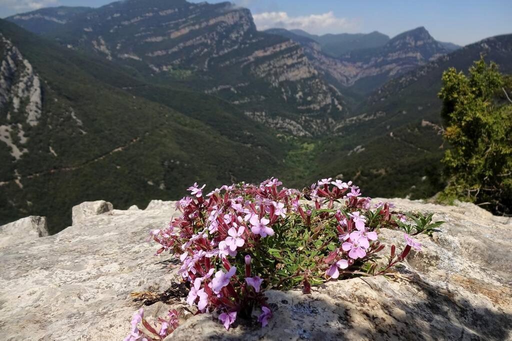 Pont De Valenti Mountain Retreat