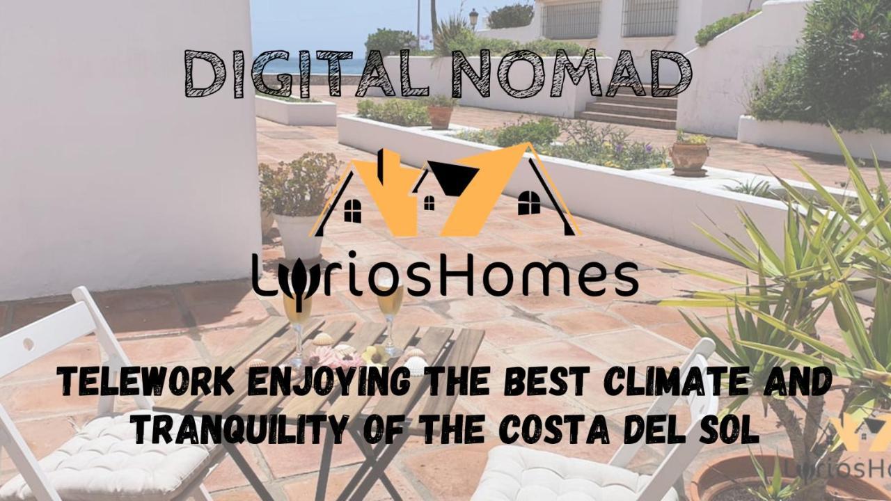 Lyrioshomes Duquesa , Gaviotas *