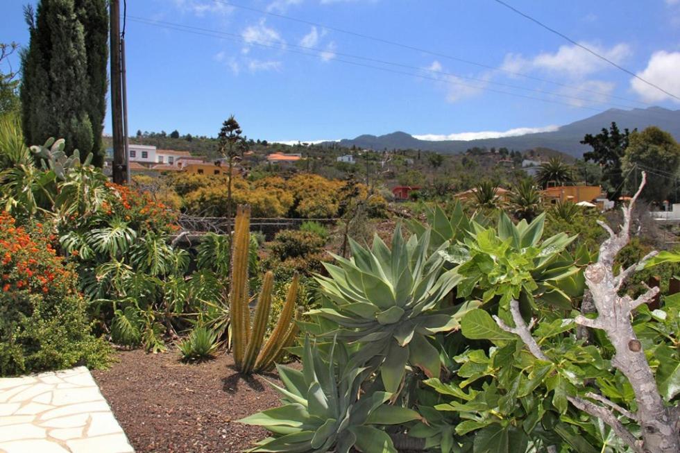Resort Jardin De Aridane