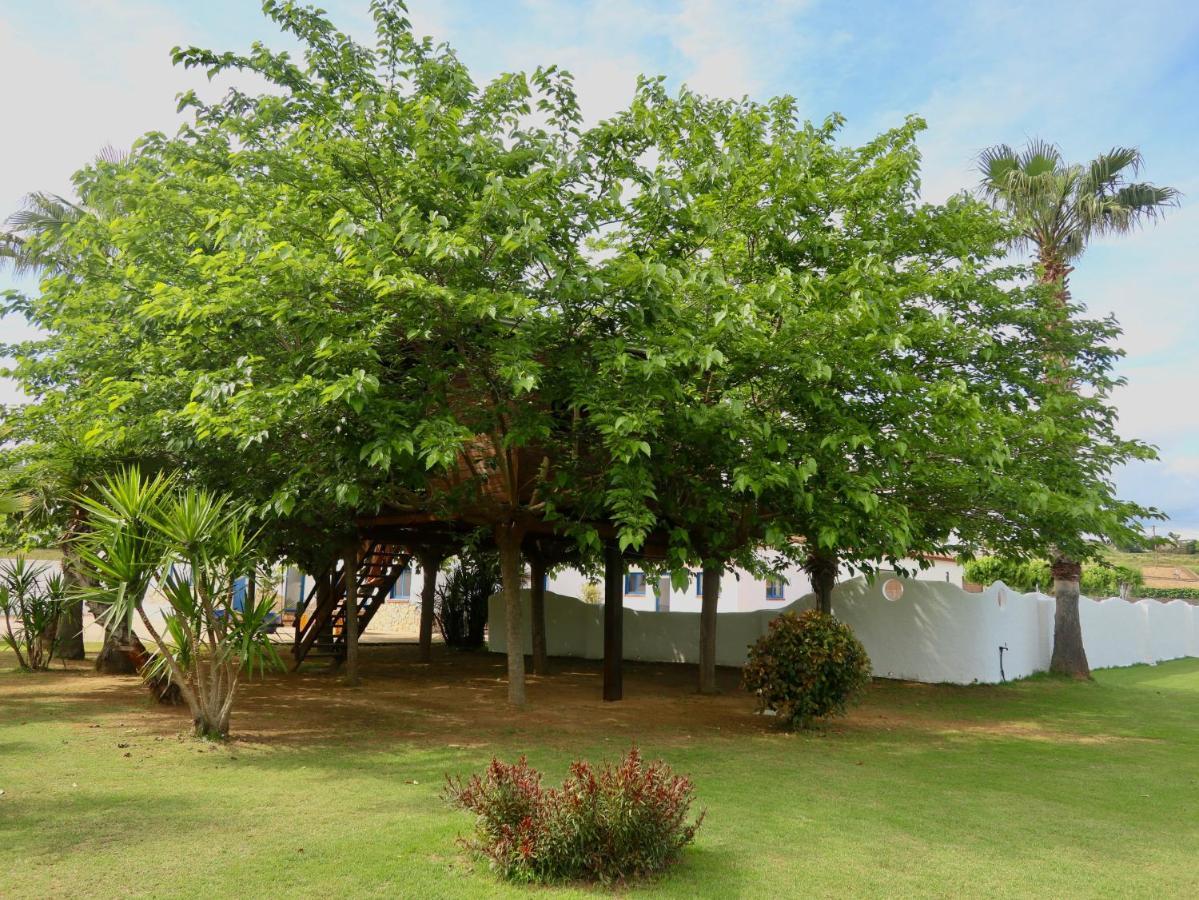 Naturetreehouse Casa Sobre Los árboles *