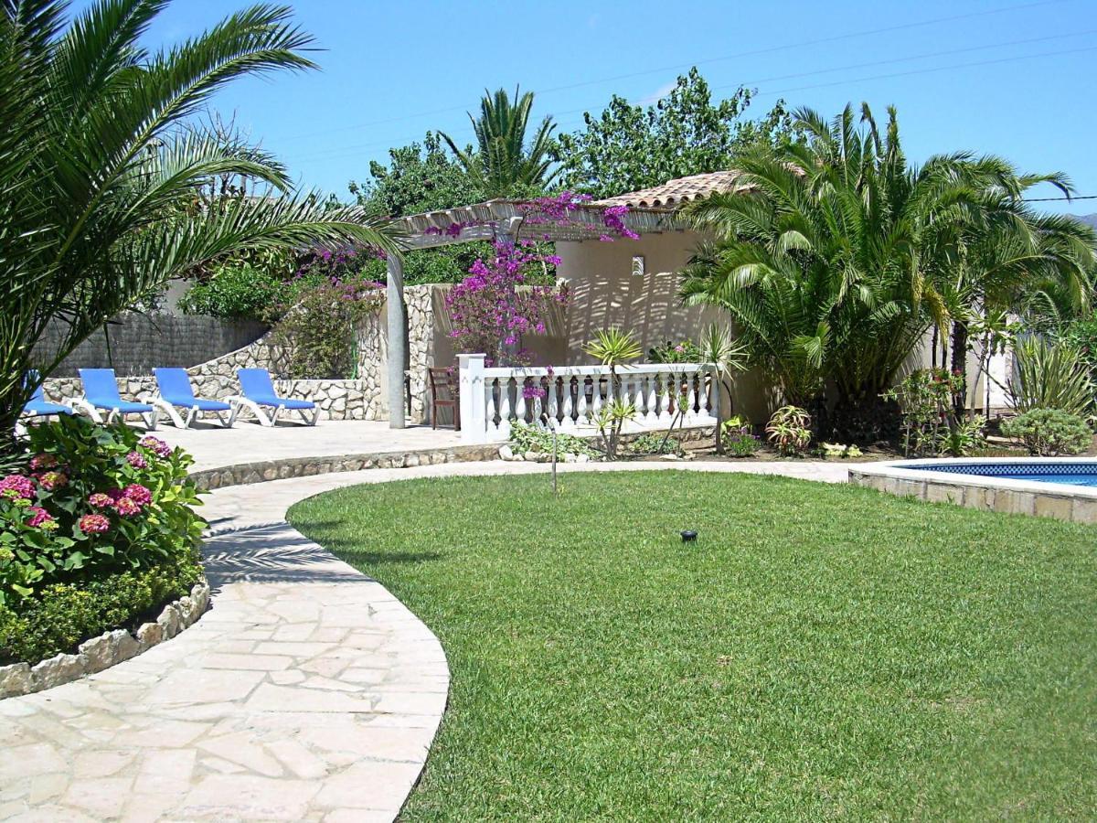Jacaranda