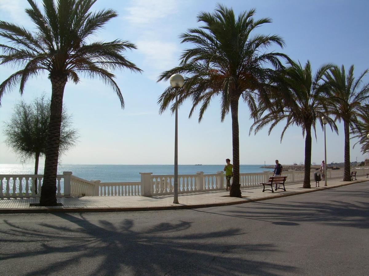 Jacaranda * L'Ametlla de Mar