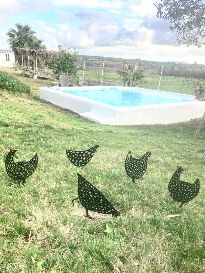 El Lagar De Abuelos *