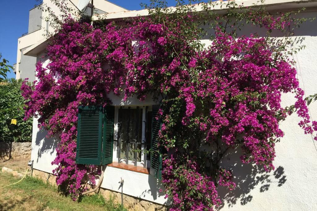 Сasa de vacaciones La Casa Del Bosc, Playa Y Golf -