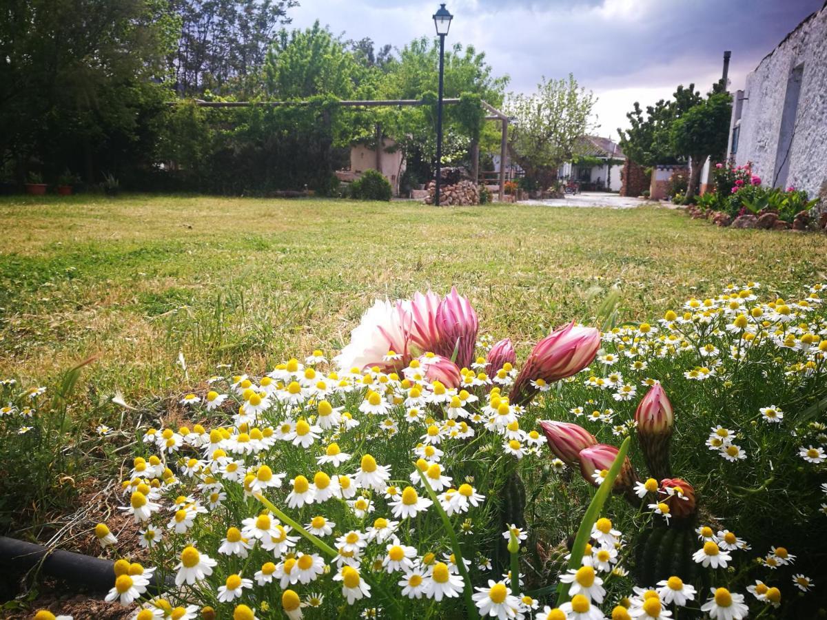 Сasa de vacaciones Cortijo Soledad El Sauco