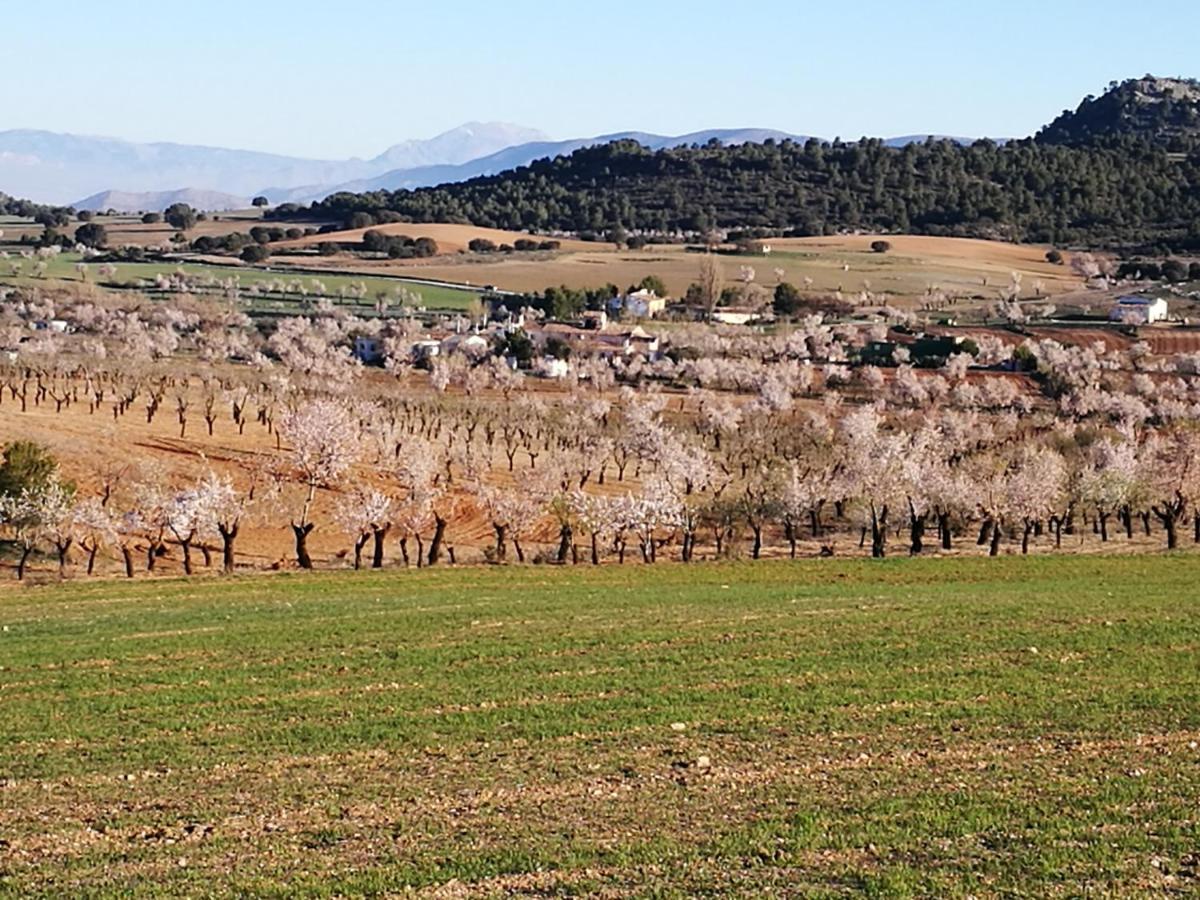 Сasa de vacaciones Cortijo Soledad *