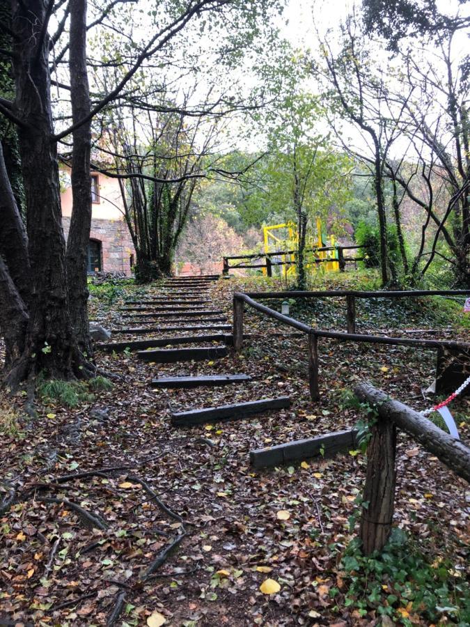 Sant Bernat Montseny
