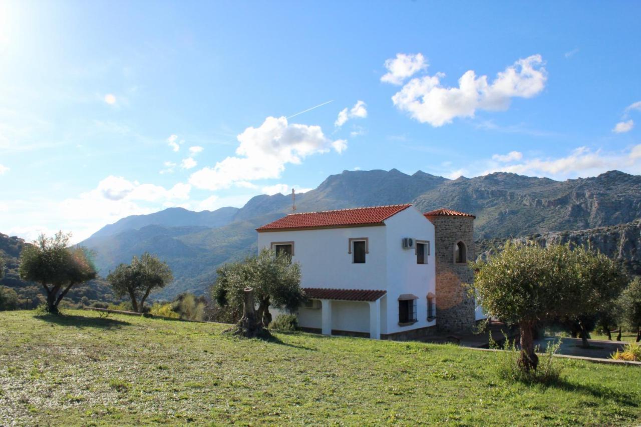 Cedro Alto Apartamento