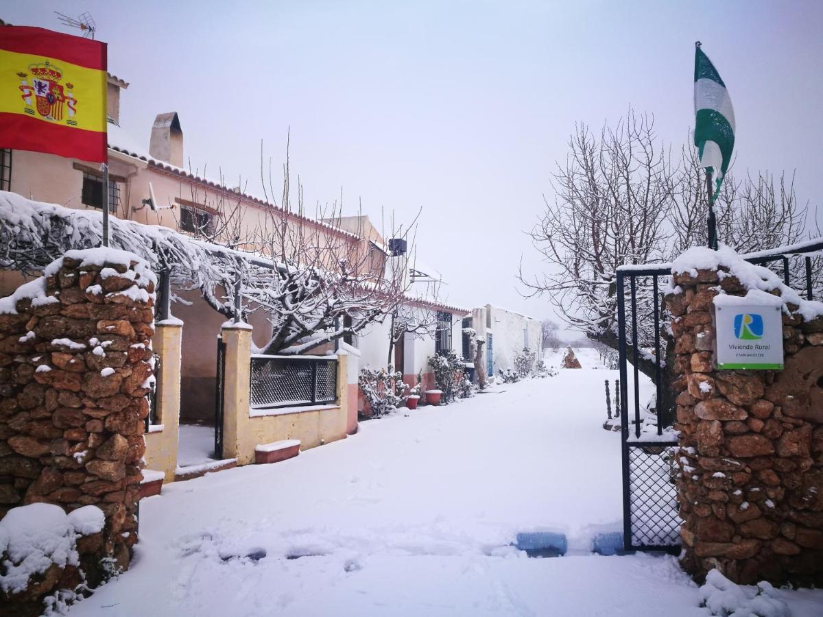 Cortijo Soledad * El Sauco