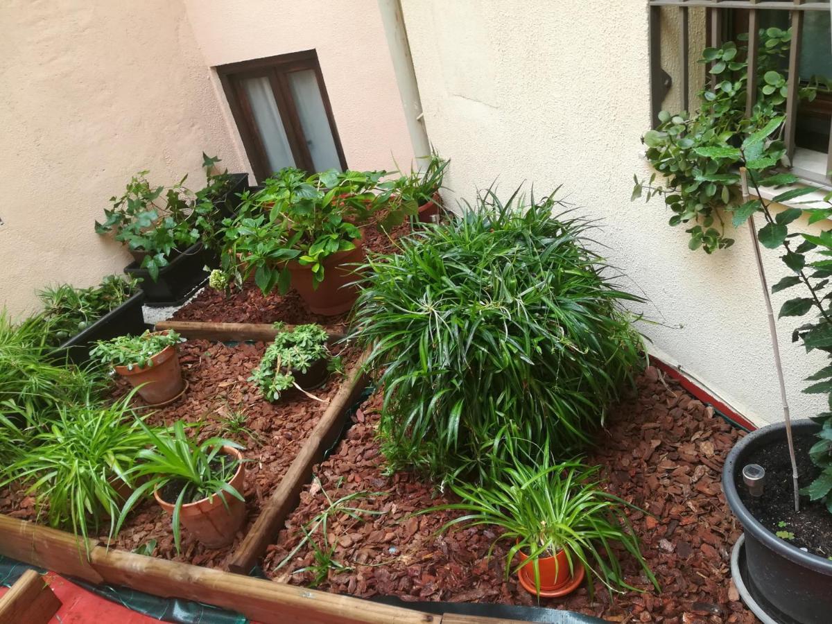 La Campana Guest house