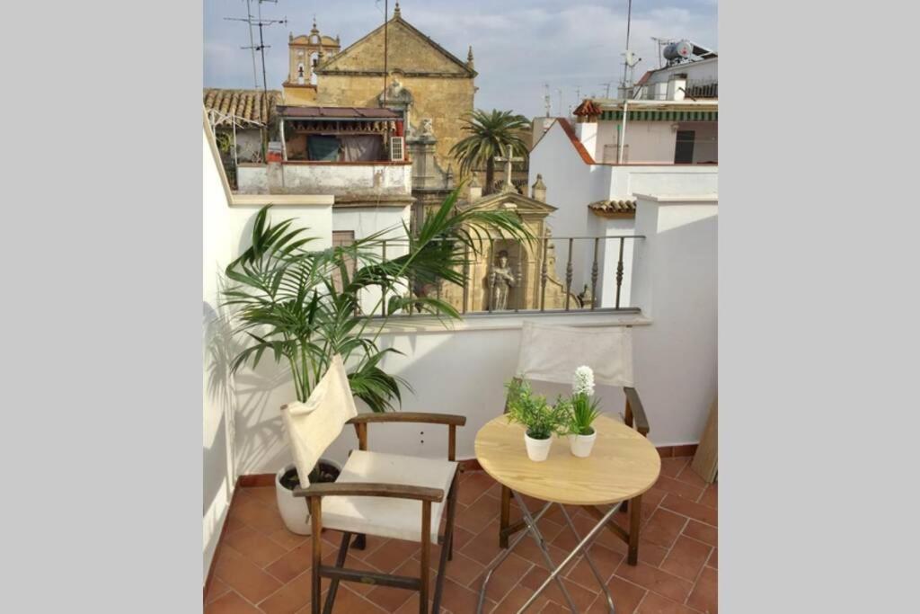 Casa De Diseño A 200m De La Mezquita Córdoba