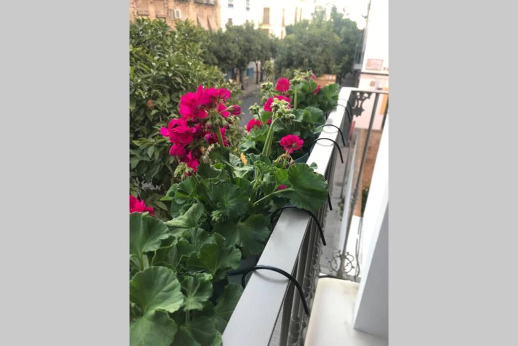 Casa De Diseño A 200m De La Mezquita Сasa de vacaciones *