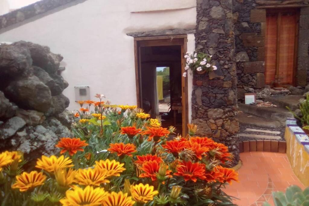Сasa de vacaciones Casa El Vallito *