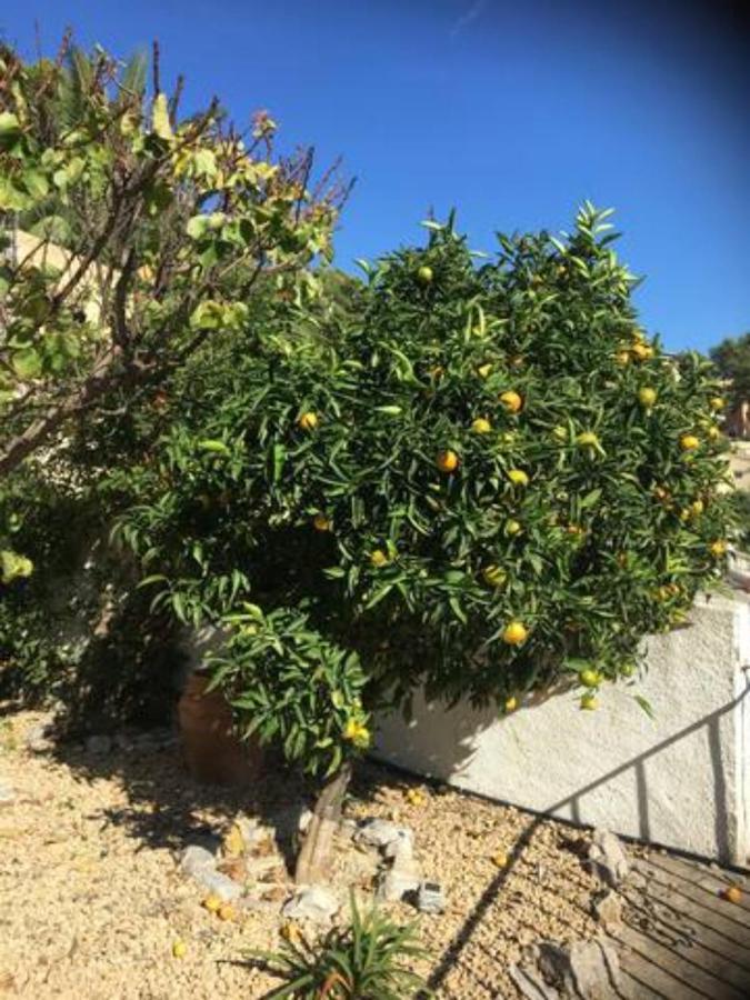 Charming In Montemar With Private, Heated Pool And Sea Views Villa *