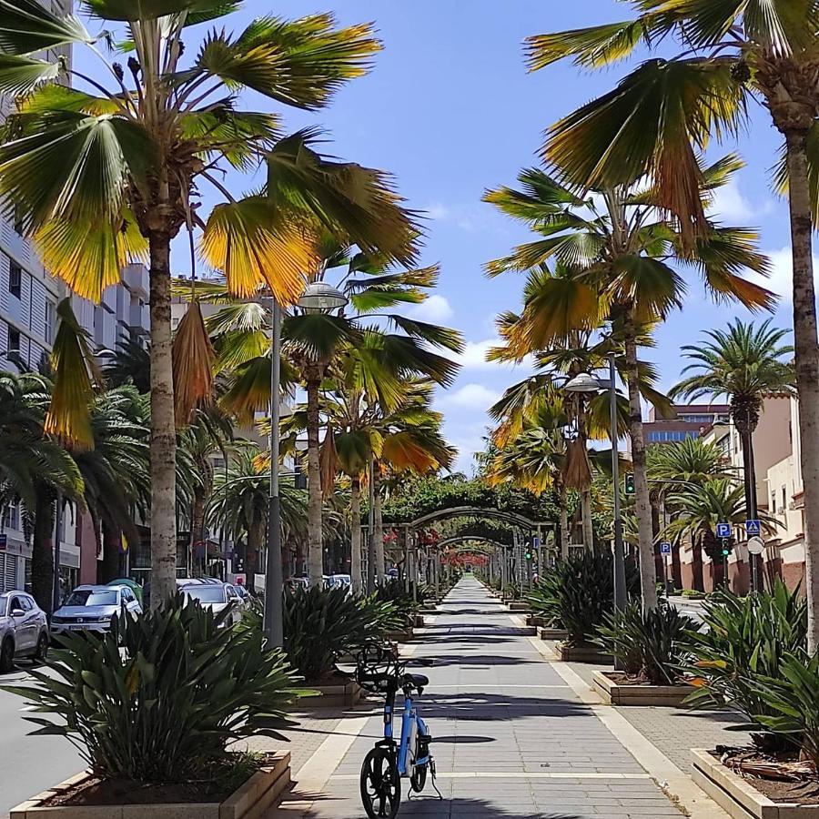 Apartment - Bien Situado En Zona Comercial - Buenas Conexiones