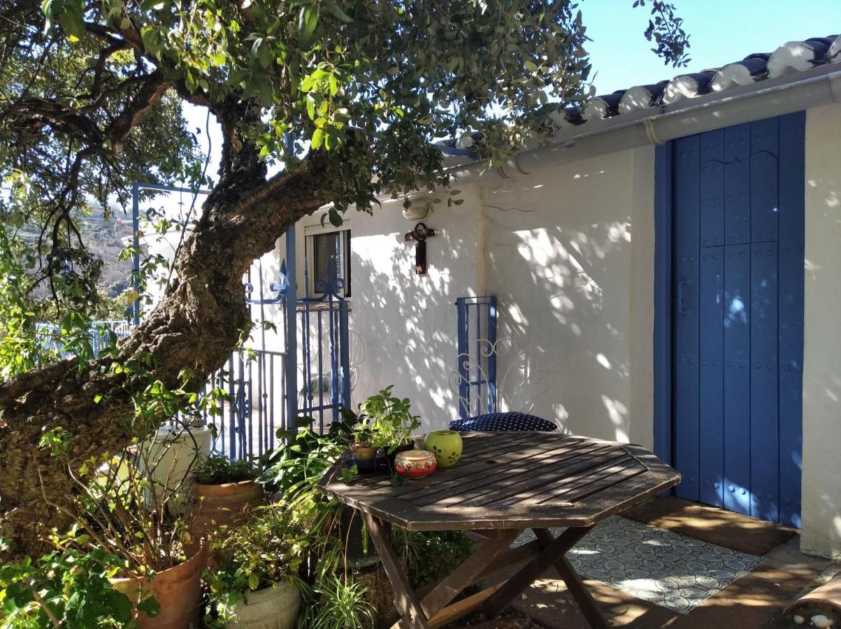 Casa El Chaparral Songbird Mountain Apartment *