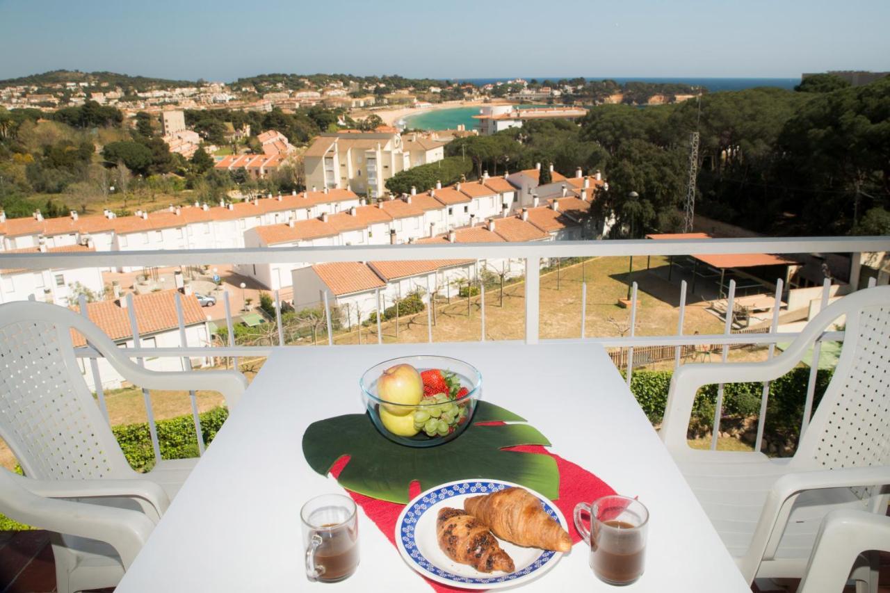 Caleta Sol Petit Apartamento