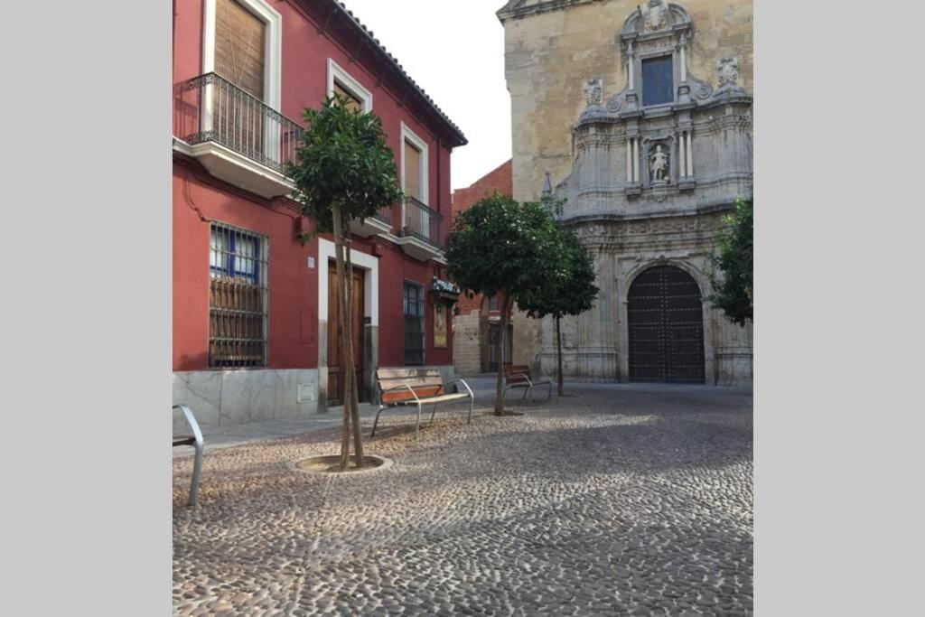 Сasa de vacaciones Casa De Diseño A 200m De La Mezquita *