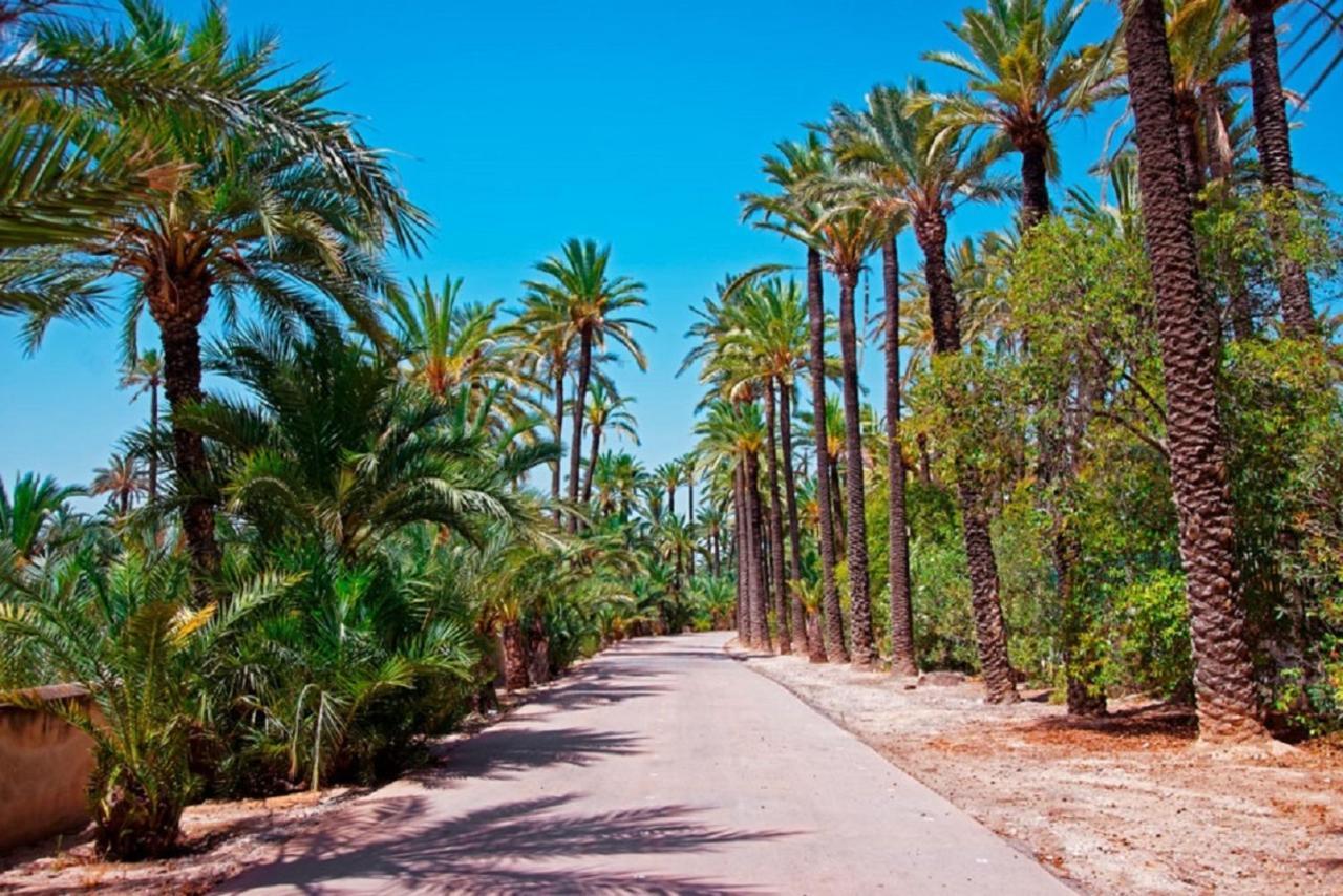 Orihuela Beach