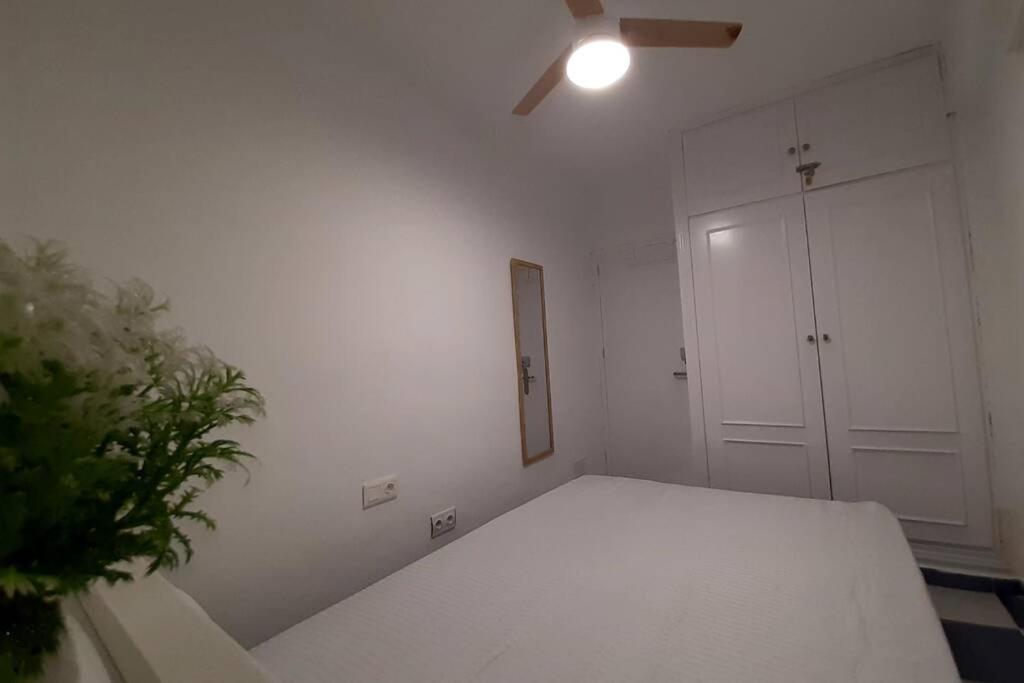 Apartamento Junto A La Catedral *