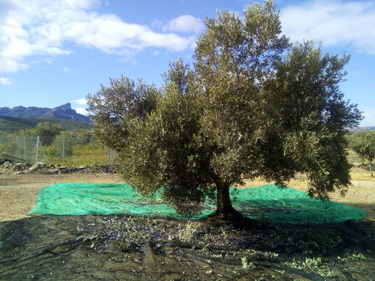 Holiday home Casa Mariano *