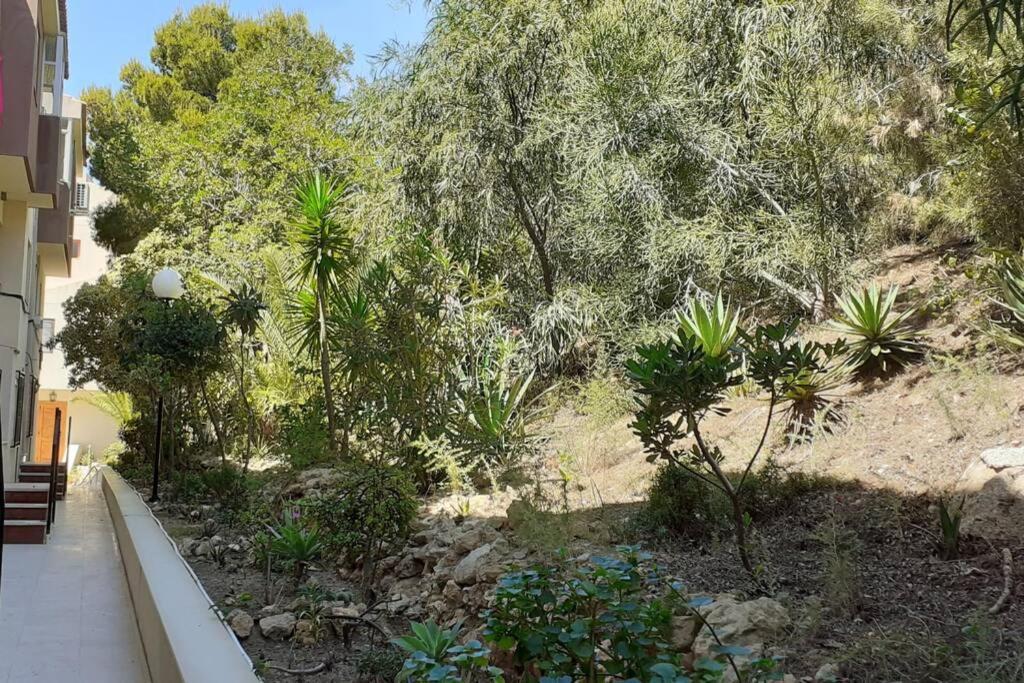 Apartamento Descansar, Sonreír, Sentir. Paraíso Frente Al Mar *