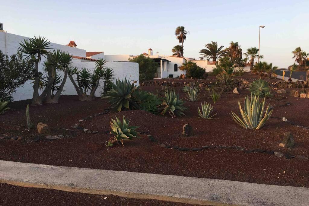 Casa El Cardon: Charming With Private Pool. Holiday home Parque Holandes