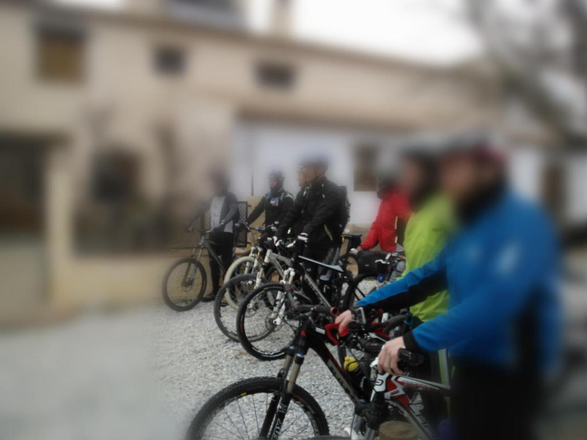 Cortijo Soledad * El Sauco