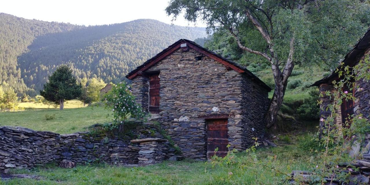 Bordes Pirineu, Costuix Campo de lujo *