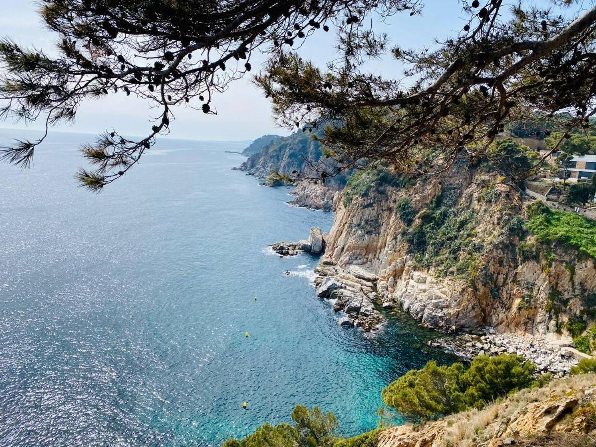 Tossa Medievo, A 150 M De La Playa