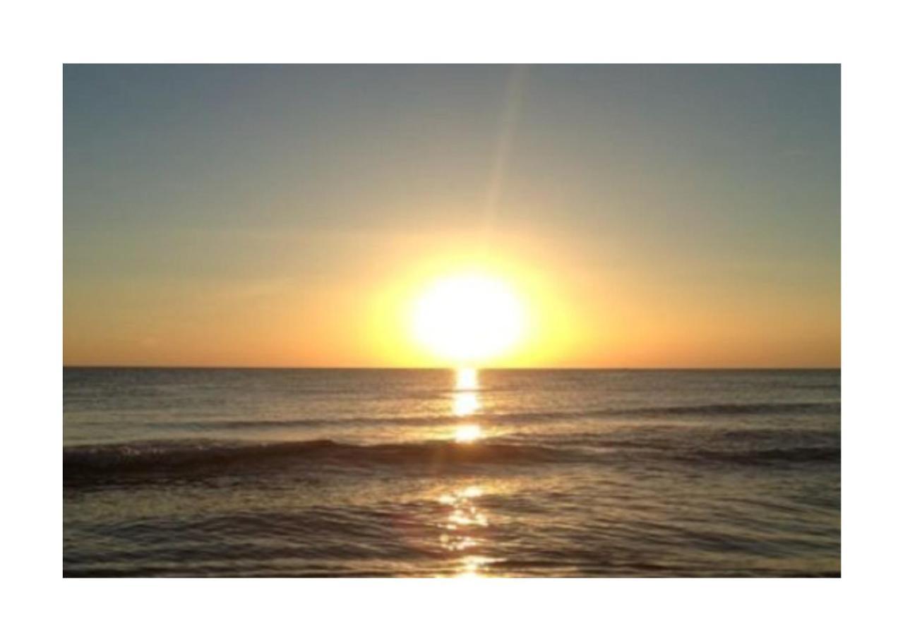 La Solana Villa Gandia