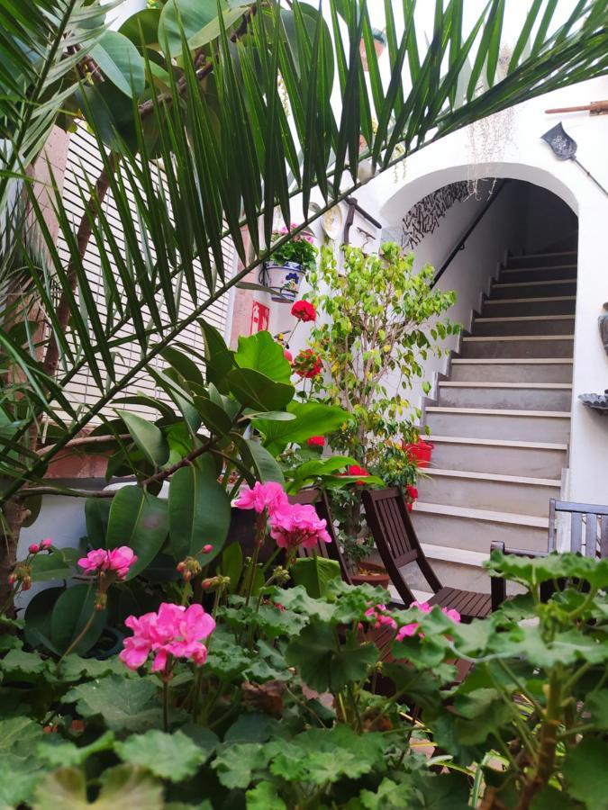 Casa Museo Jerez Centro