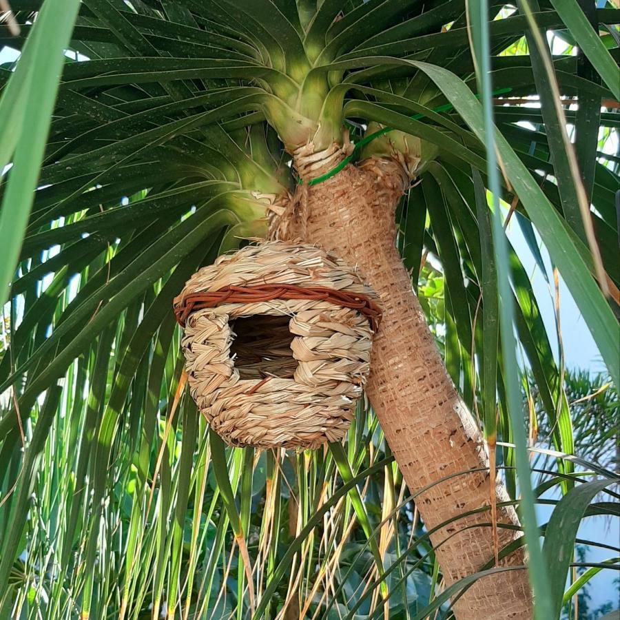 Finca La Barca *