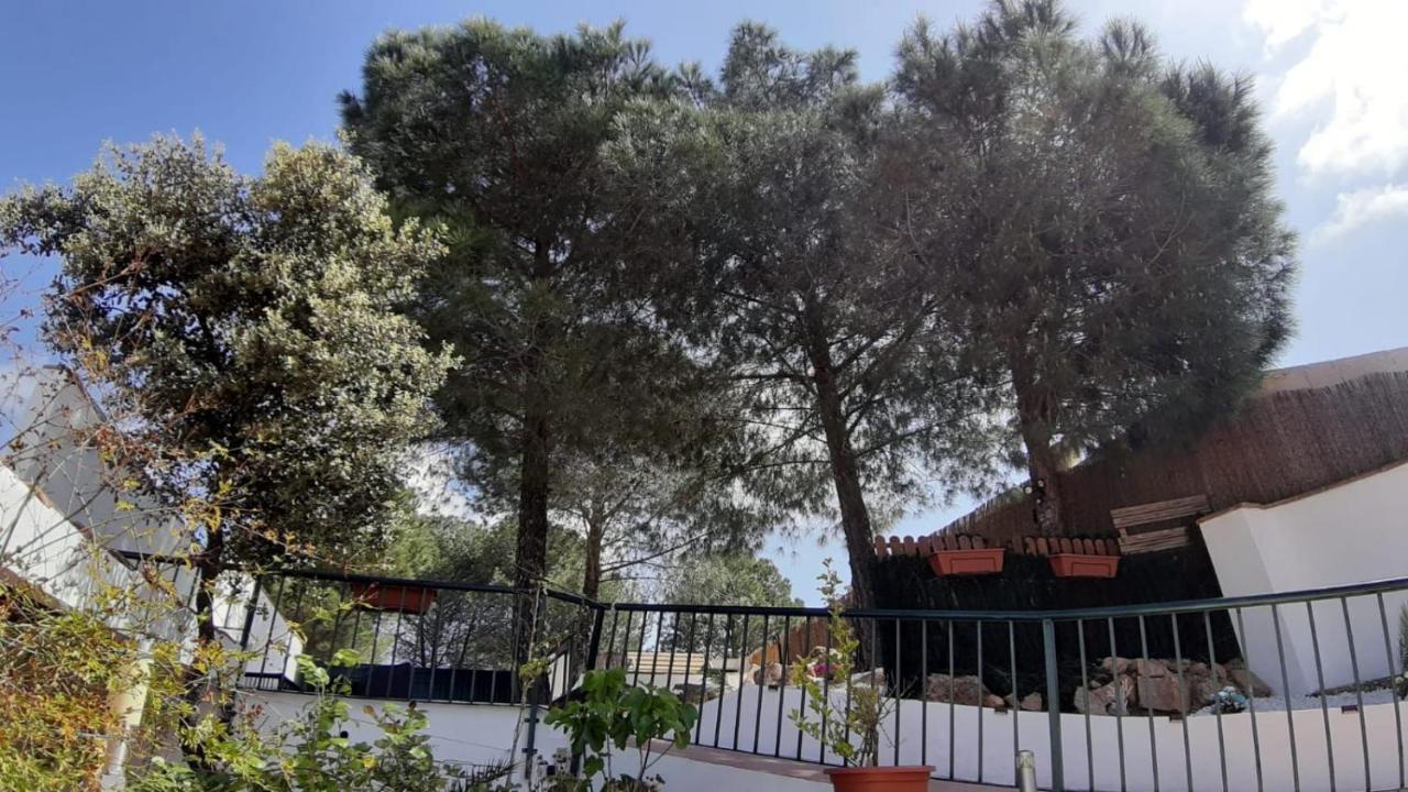 El Pinar Del Coto Сasa de vacaciones Córdoba