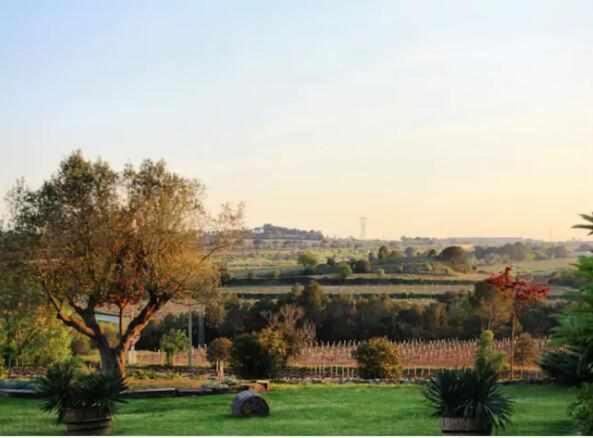 Masia Olivera Country house