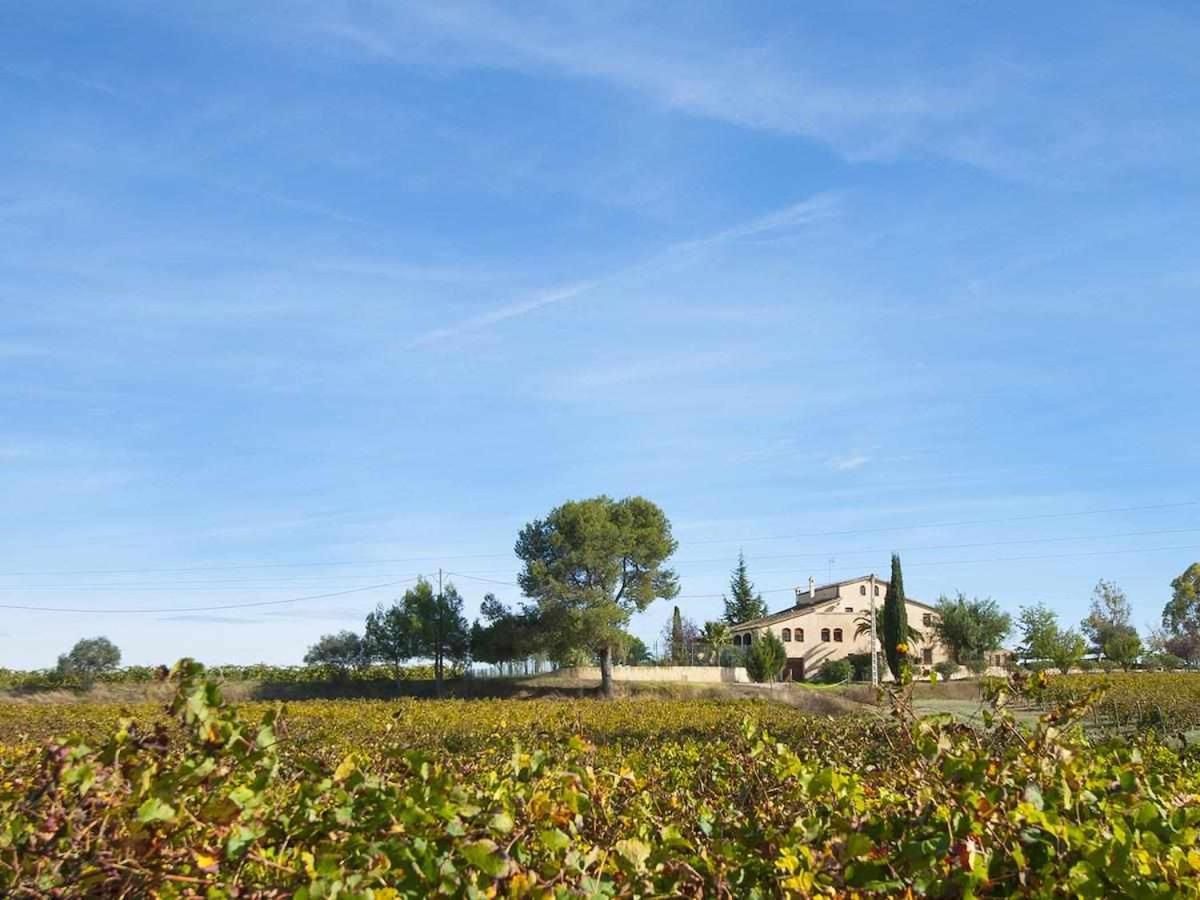 Masia Olivera Country house Sant Pau d'Ordal