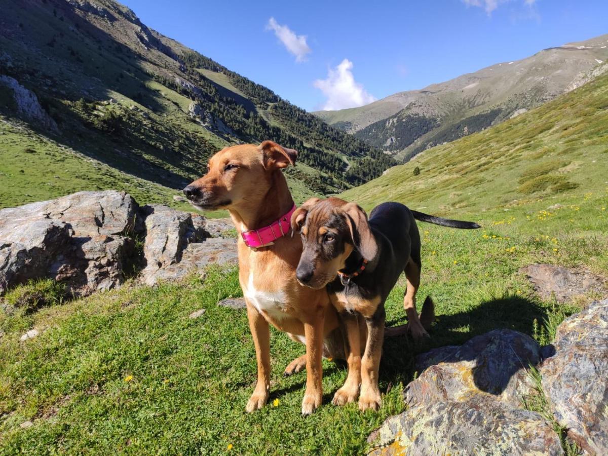 Vall De Núria Hotel Queralbs (Caralps)