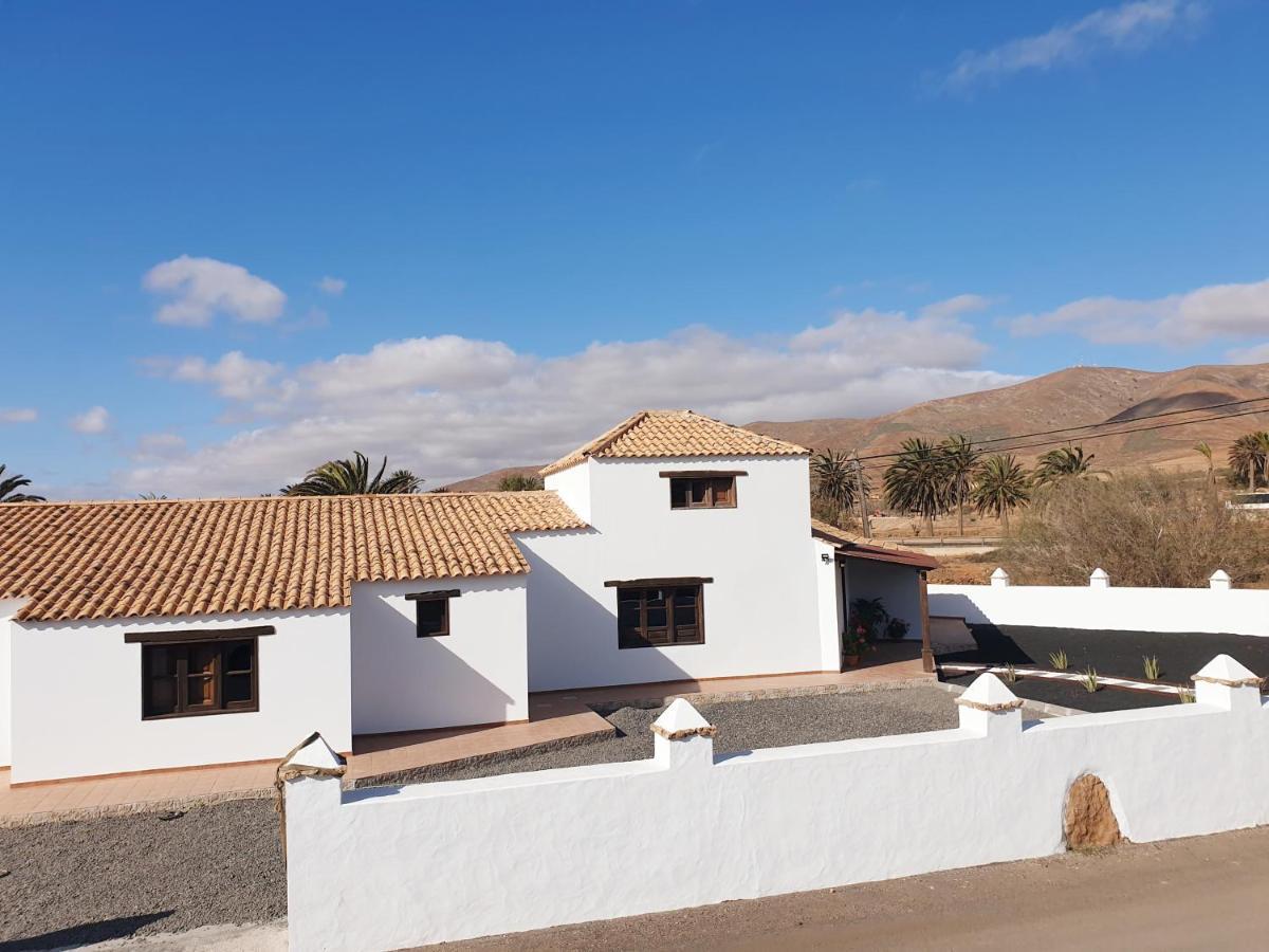 Palmeras Antigua (Fuerteventura)