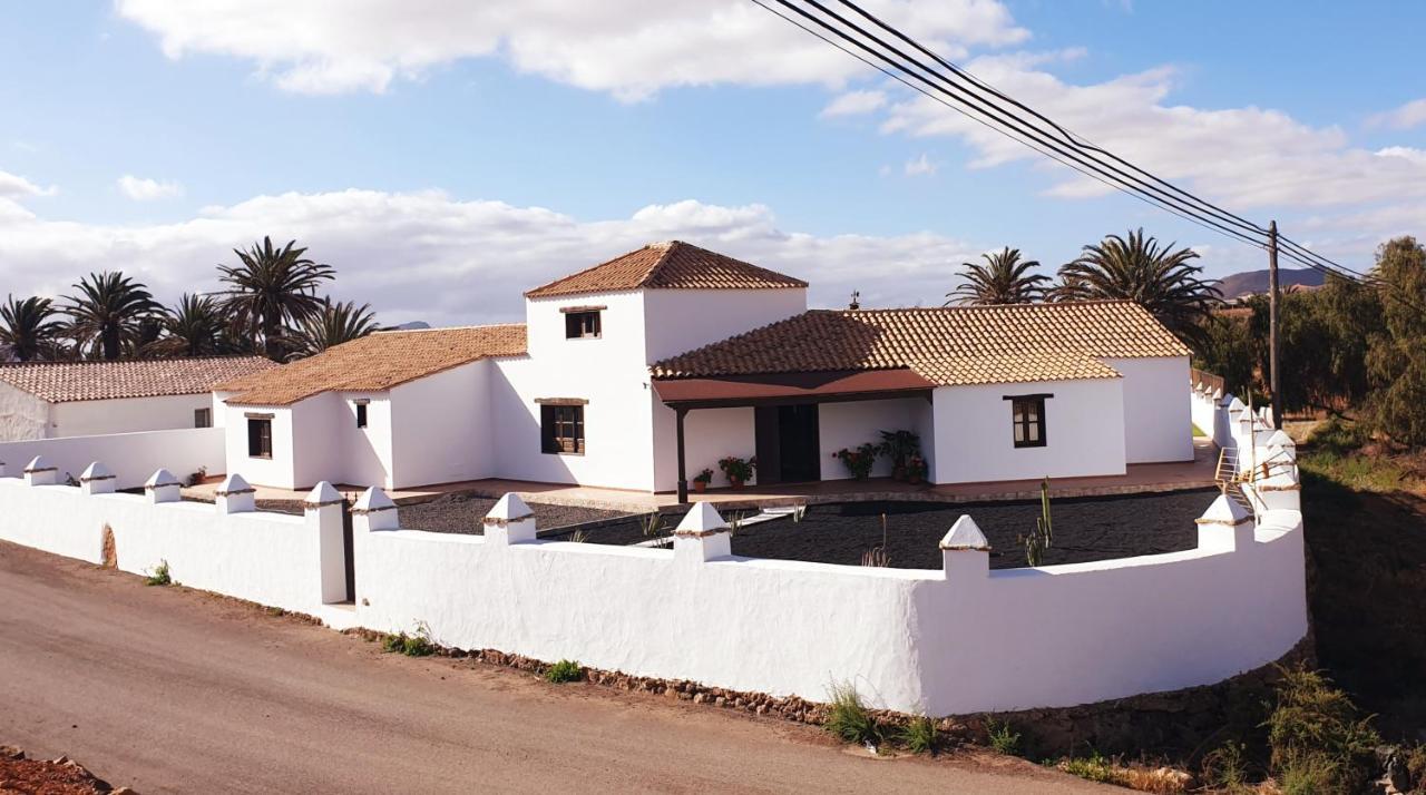 Palmeras Villa Antigua (Fuerteventura)