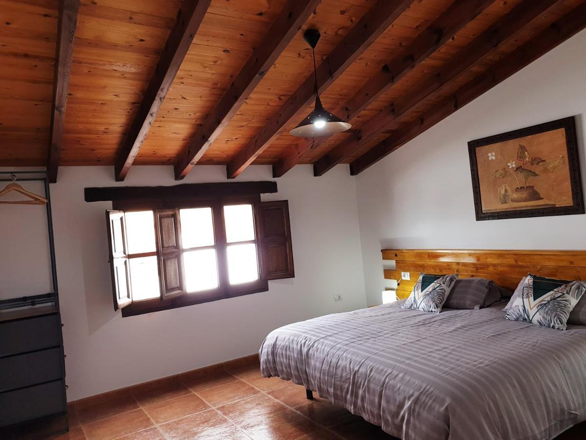 Palmeras Villa Antigua (Fuerteventura)