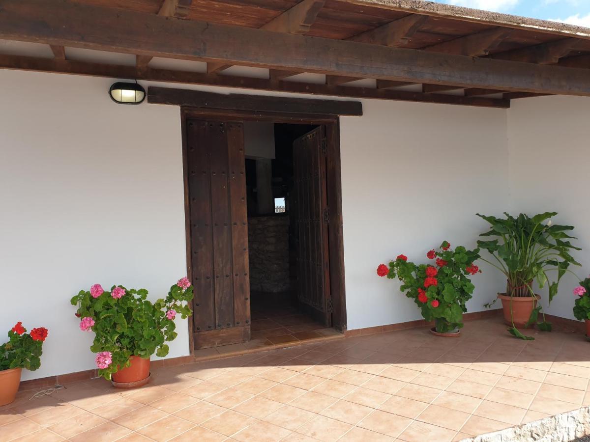 Palmeras Villa *