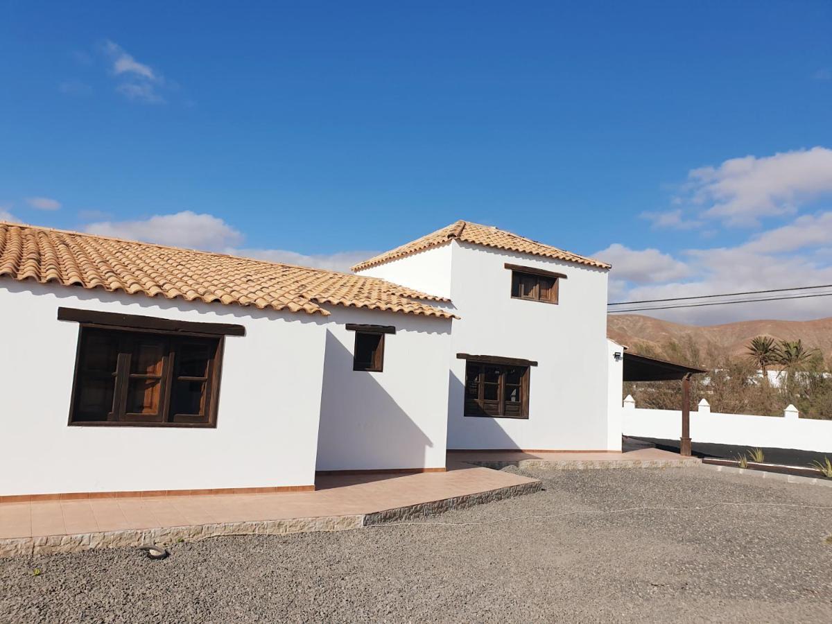 Palmeras Antigua (Fuerteventura)