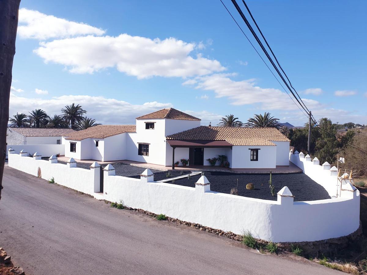 Palmeras Villa Antigua (Fuerteventura)