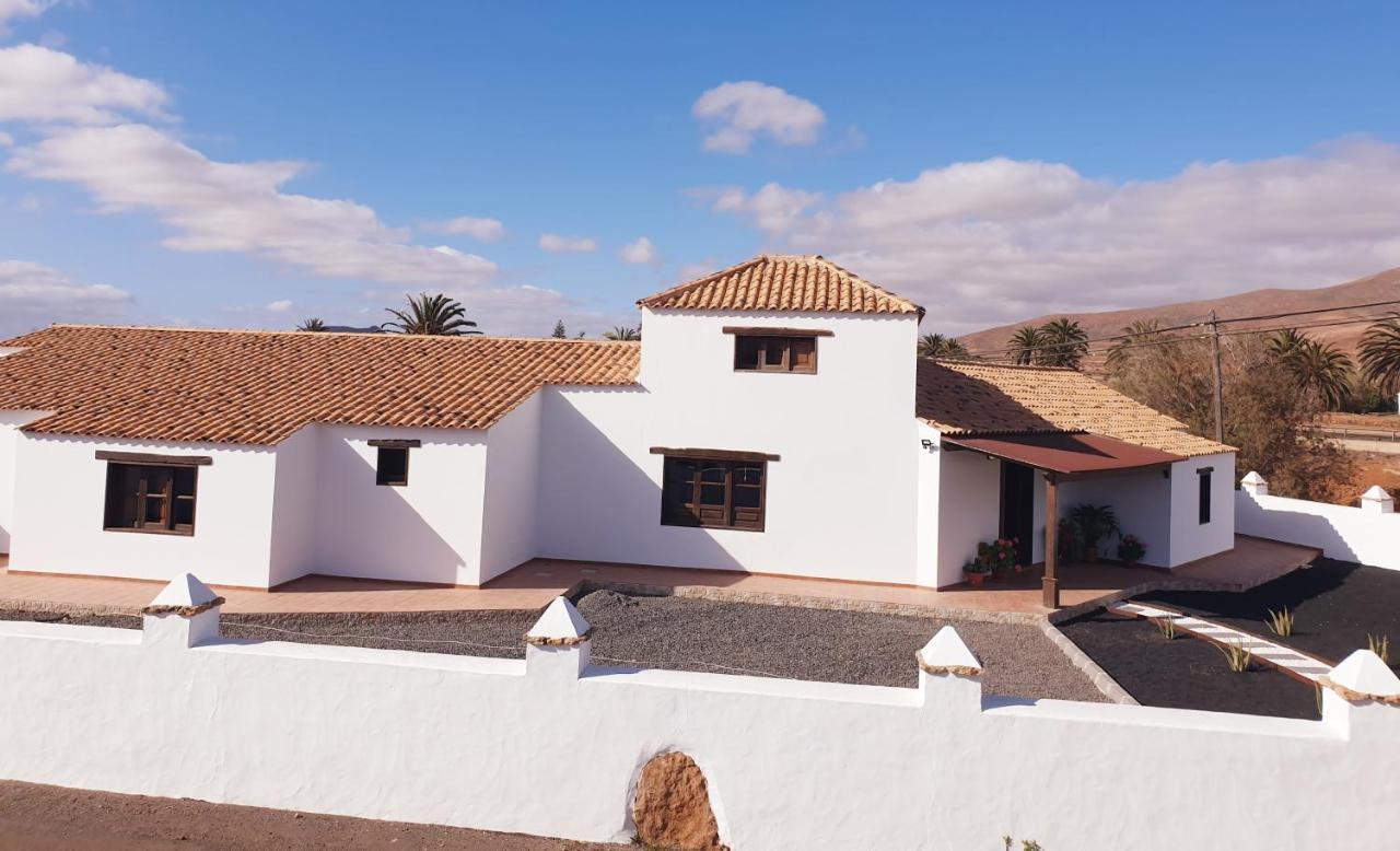 Palmeras Villa Antigua (Fuerteventura)
