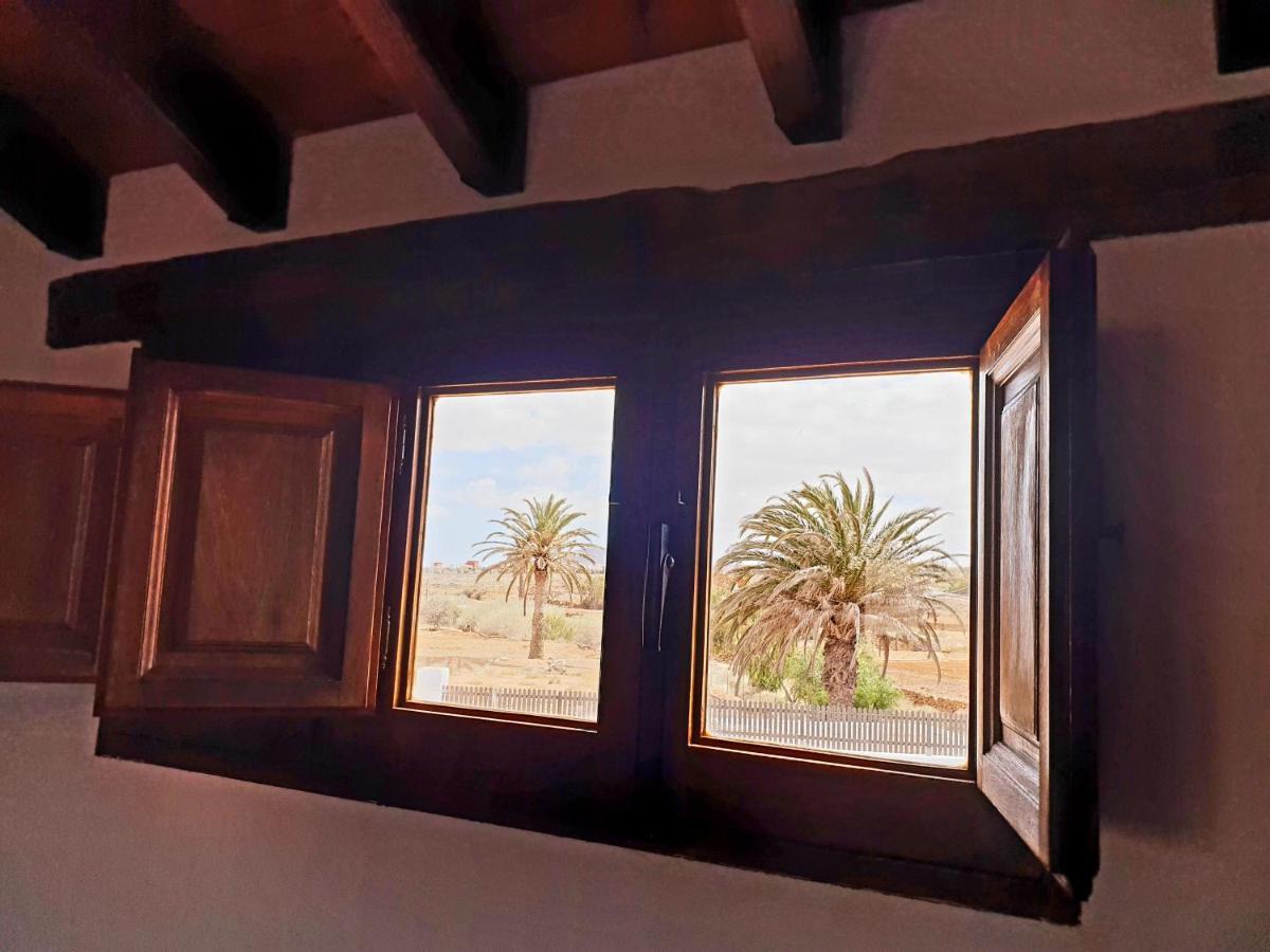 Palmeras Villa Antigua (Fuerteventura)