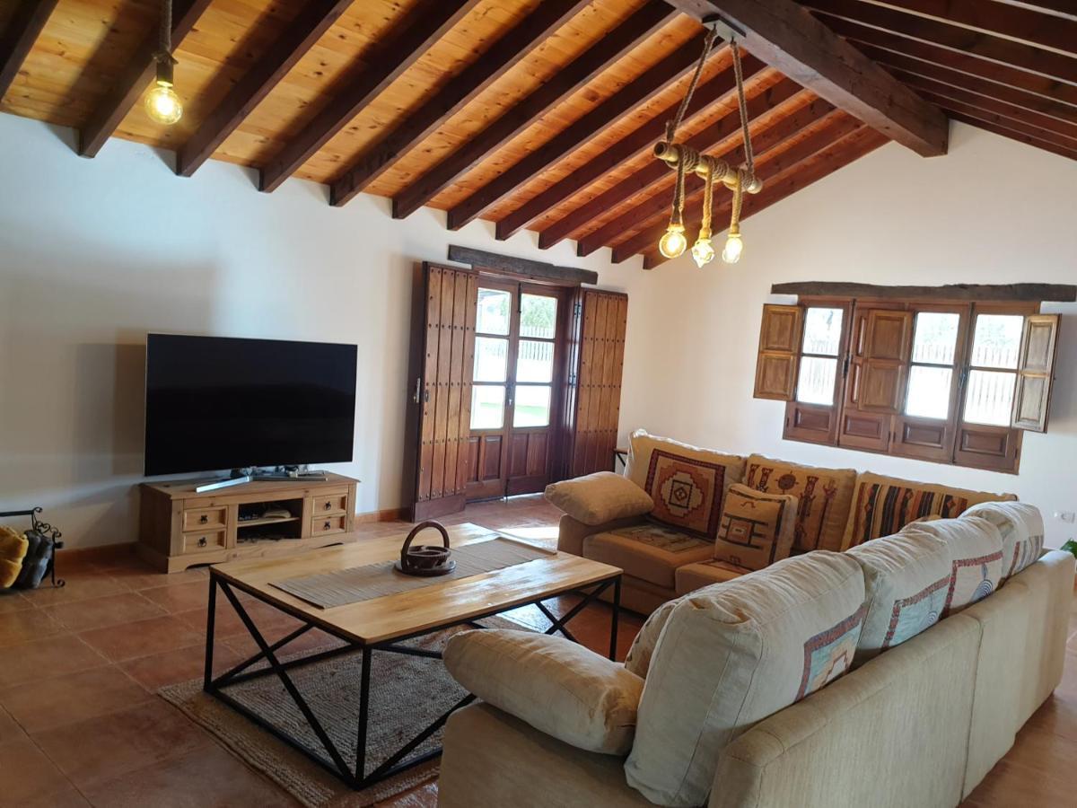 Palmeras Villa Antigua (Fuerteventura)