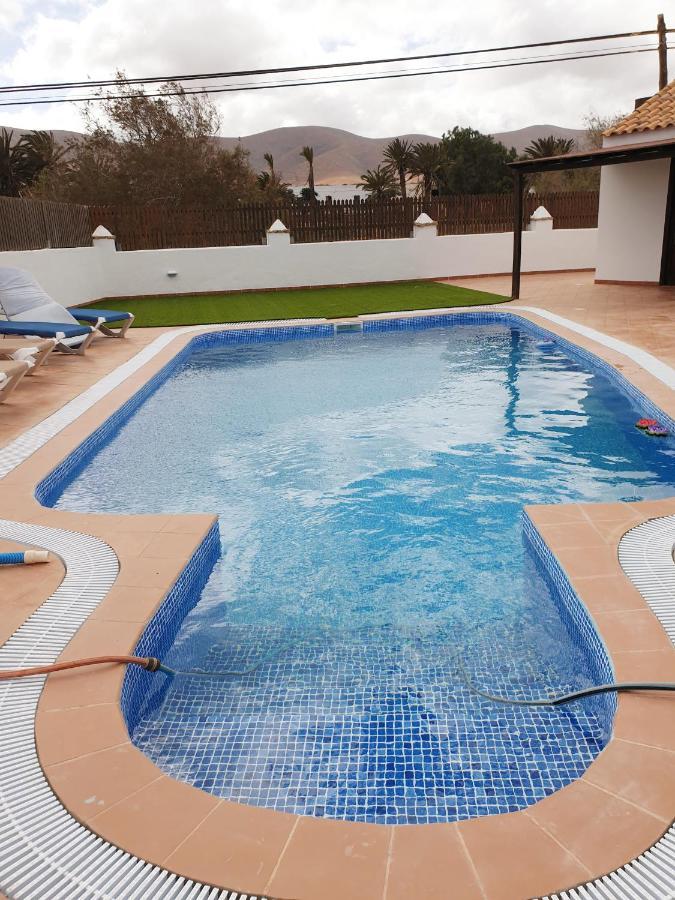 Palmeras * Antigua (Fuerteventura)